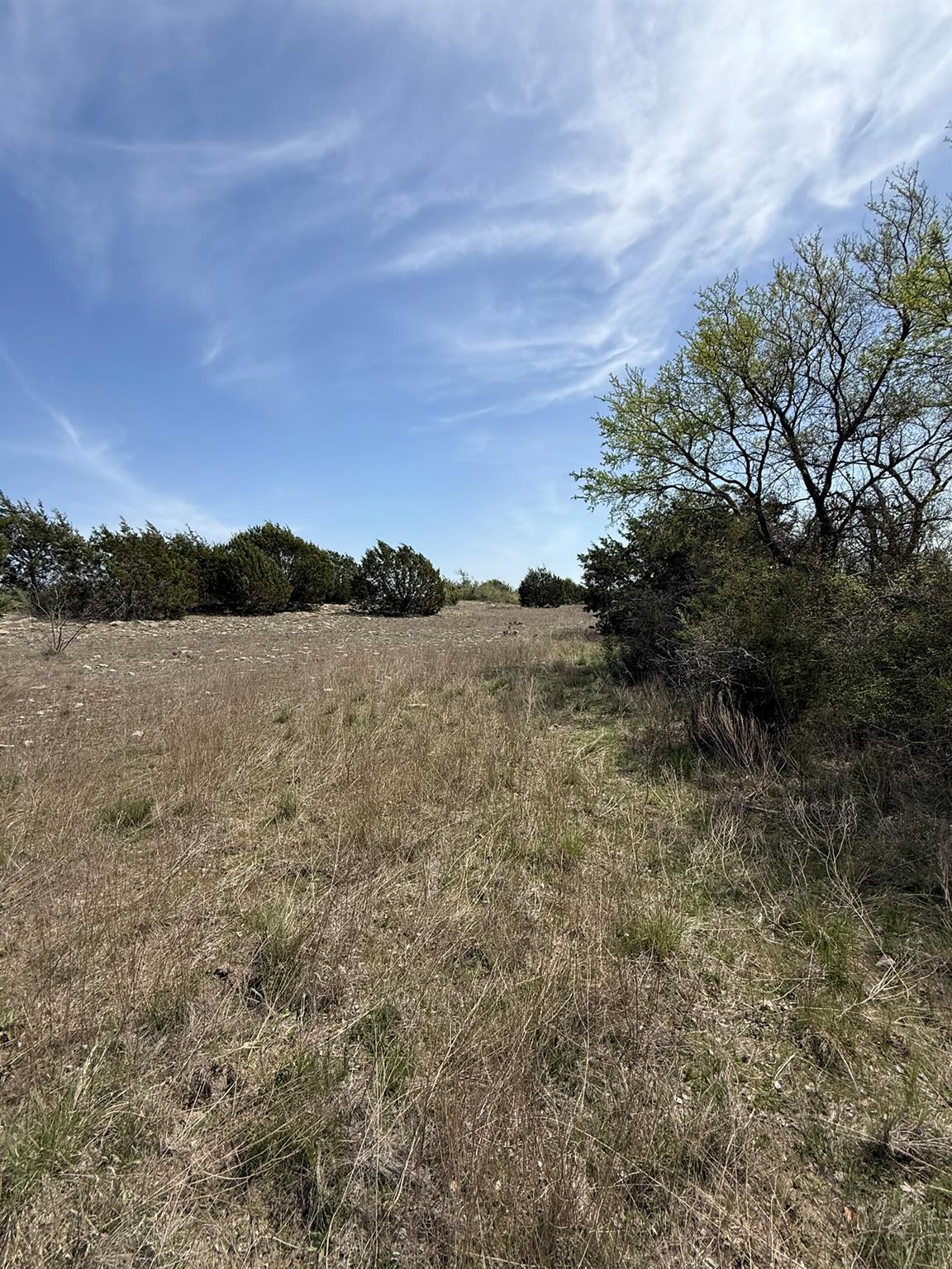 Tbd Lot 109 Pitchfork Ranch Rd Property Photo 13