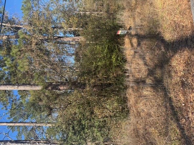 1666496 Property Photo 3