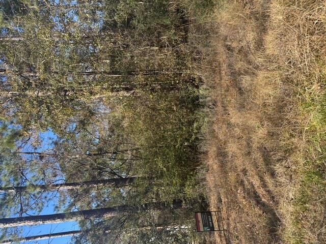 1666496 Property Photo 4
