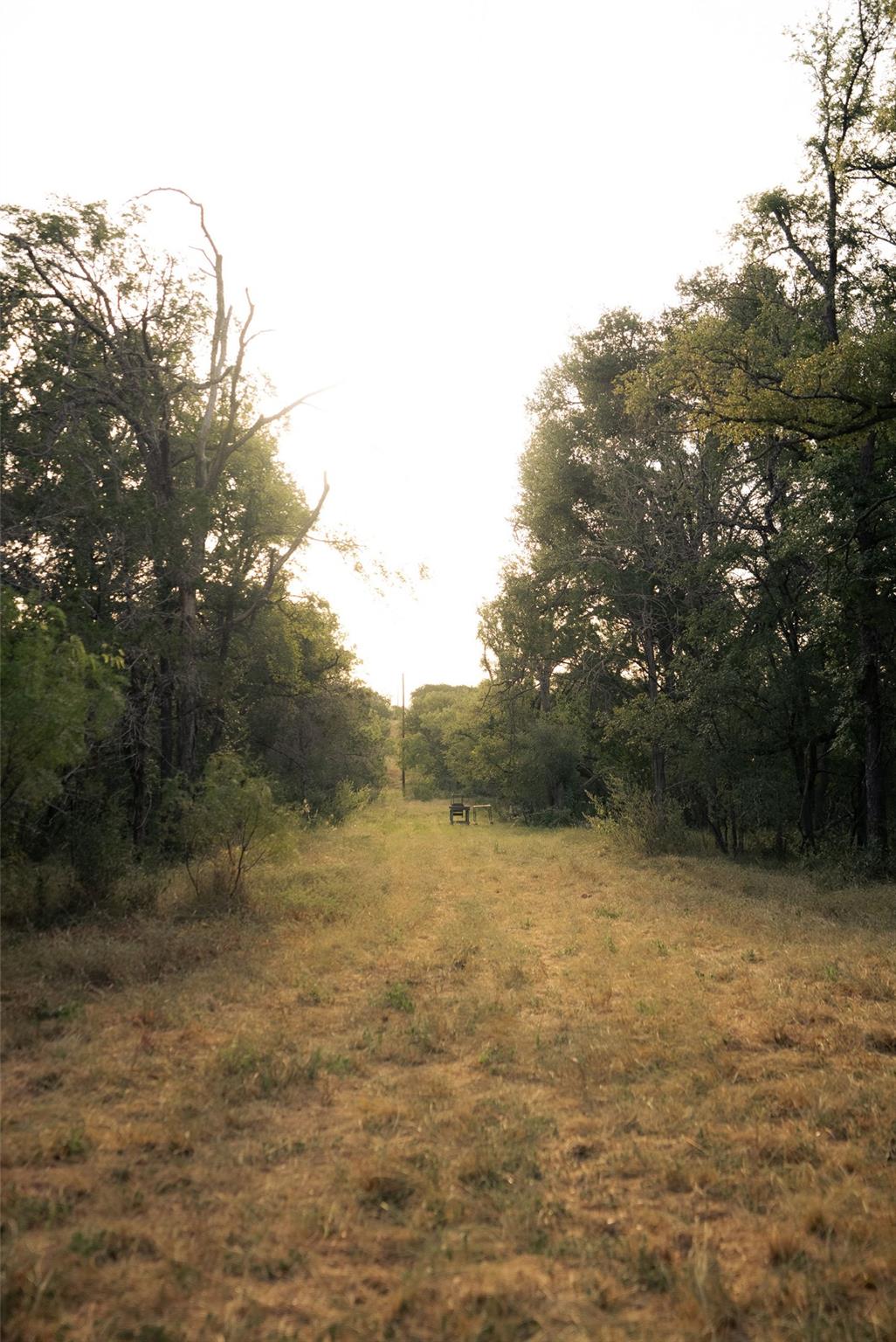 1790 County Road 402 None Property Photo 12