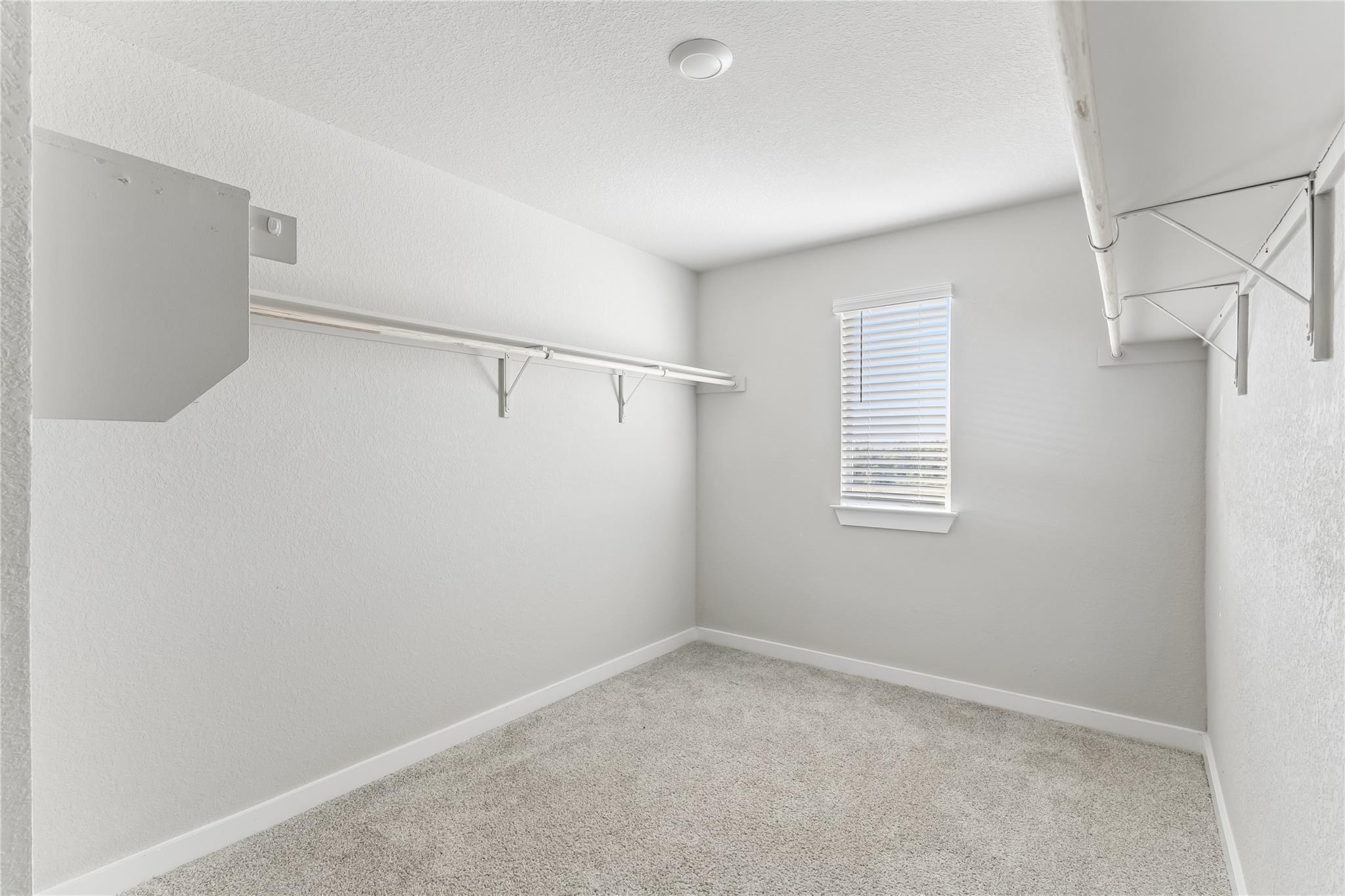 1141 Tipton St Property Photo 19