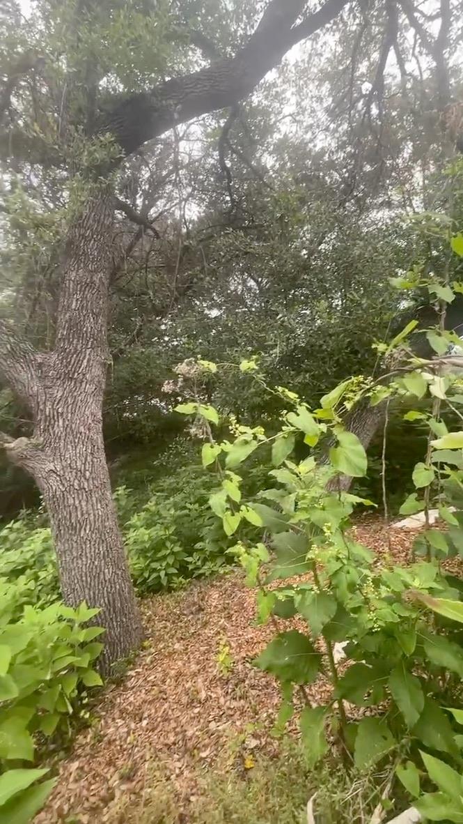 4908 Arrowhead Dr Property Photo 5