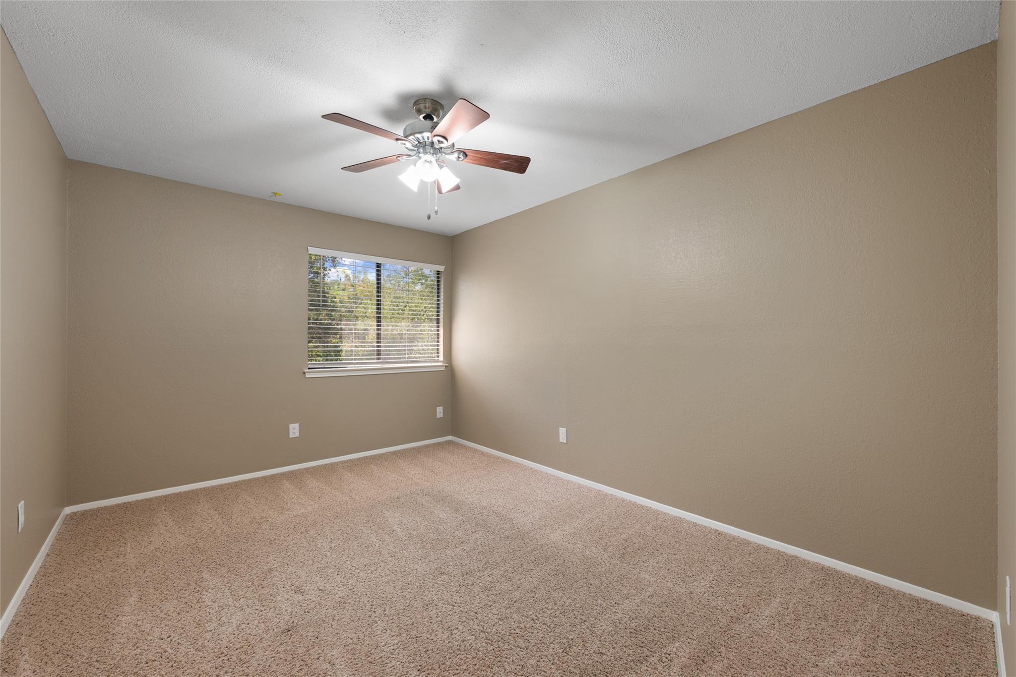 11902 Rickem Cv Property Photo 28