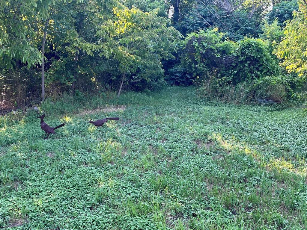 704 Fm 2657 Property Photo 15