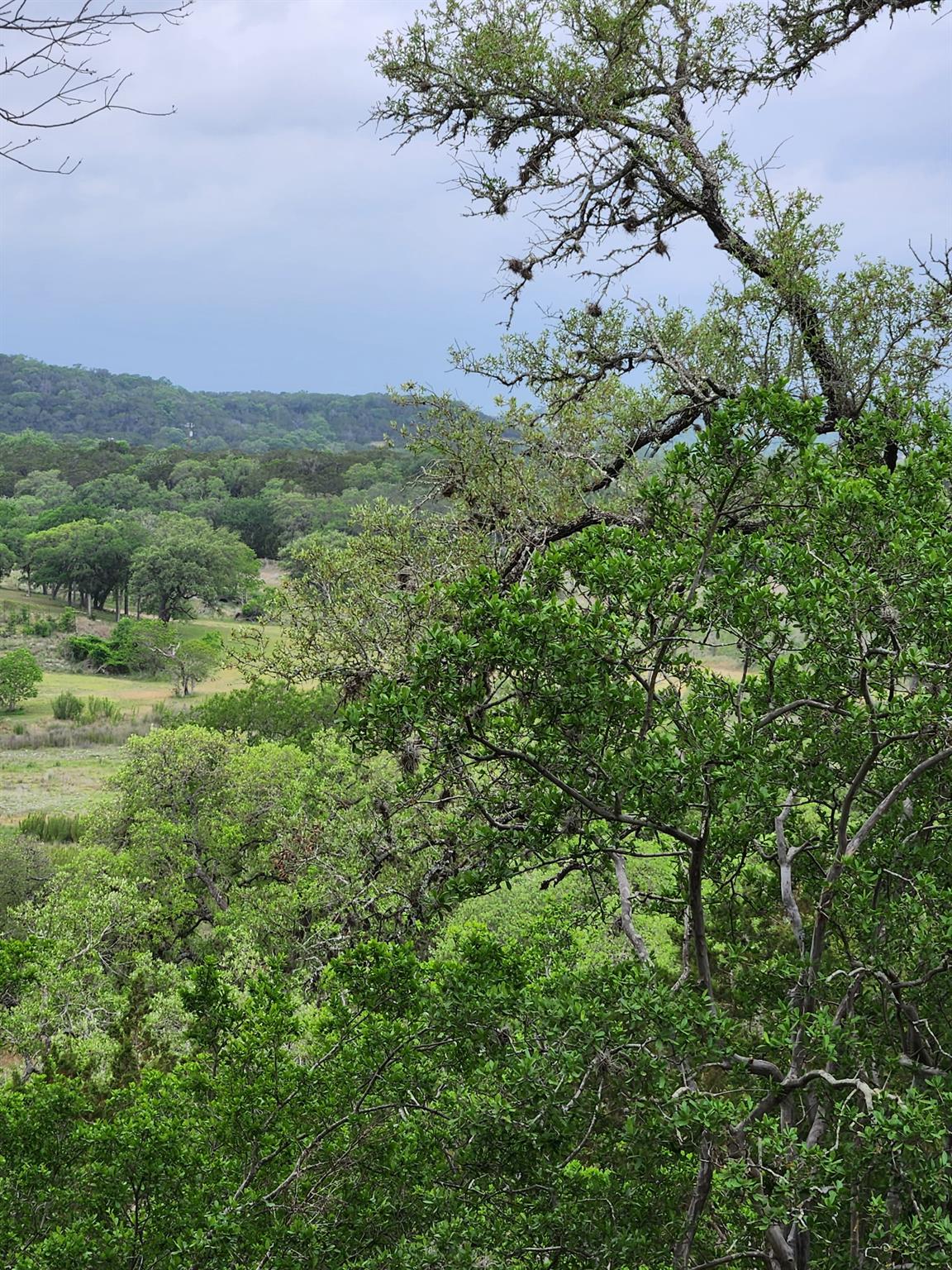 1279 Kings Cove Dr Property Photo 2