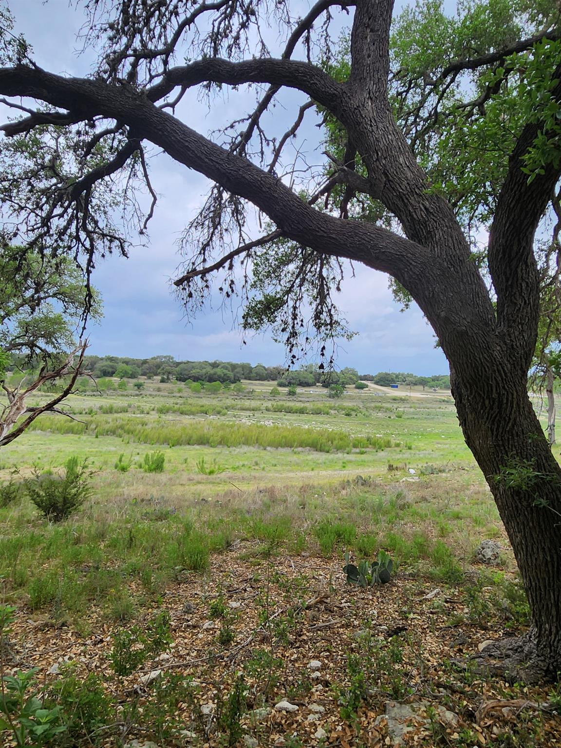 1279 Kings Cove Dr Property Photo 3