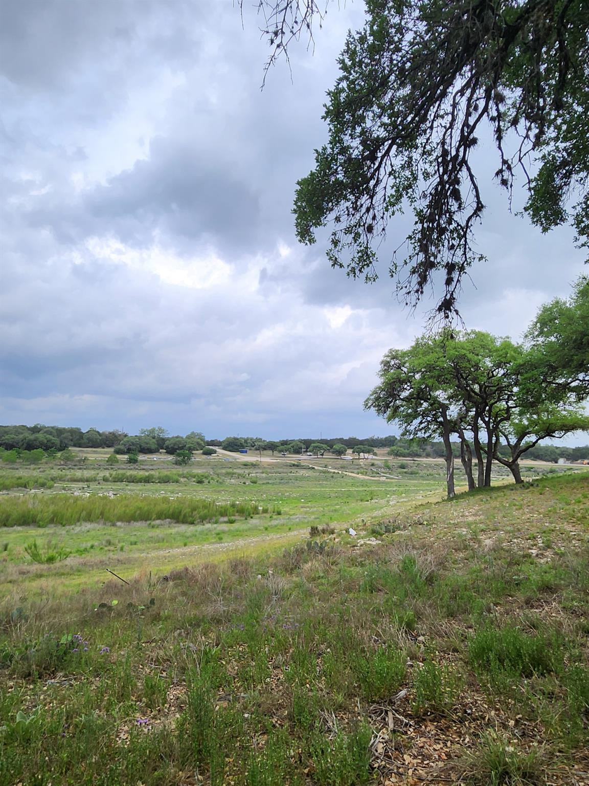 1279 Kings Cove Dr Property Photo 4