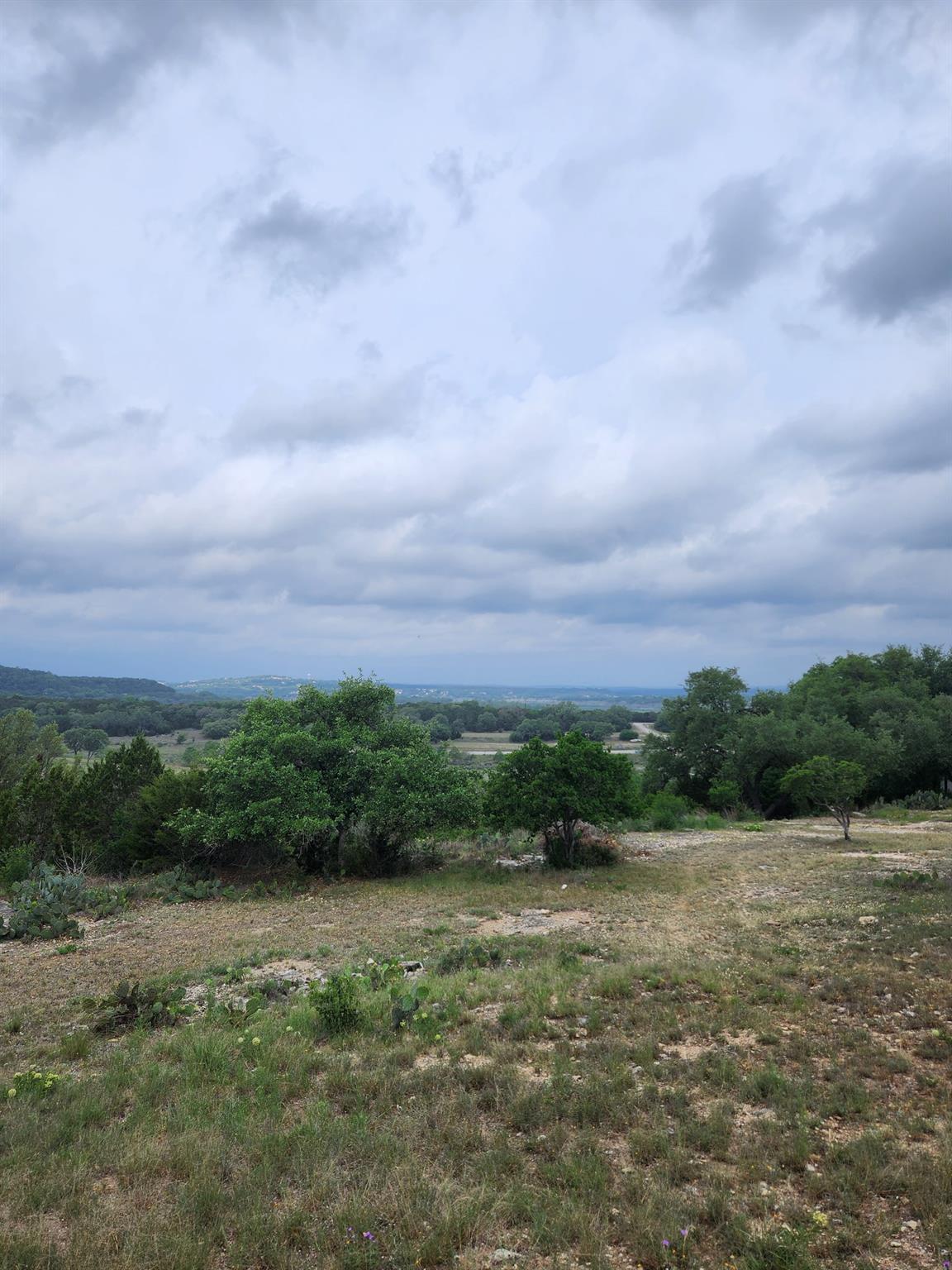 1279 Kings Cove Dr Property Photo 6