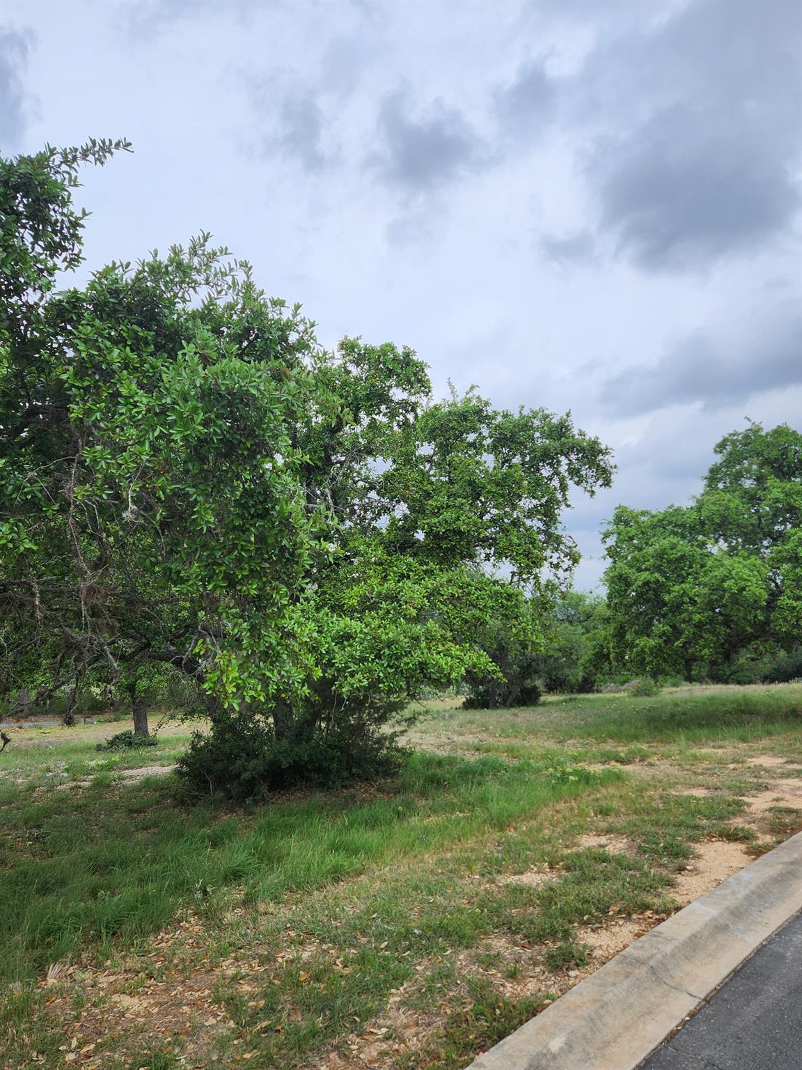 1279 Kings Cove Dr Property Photo 7