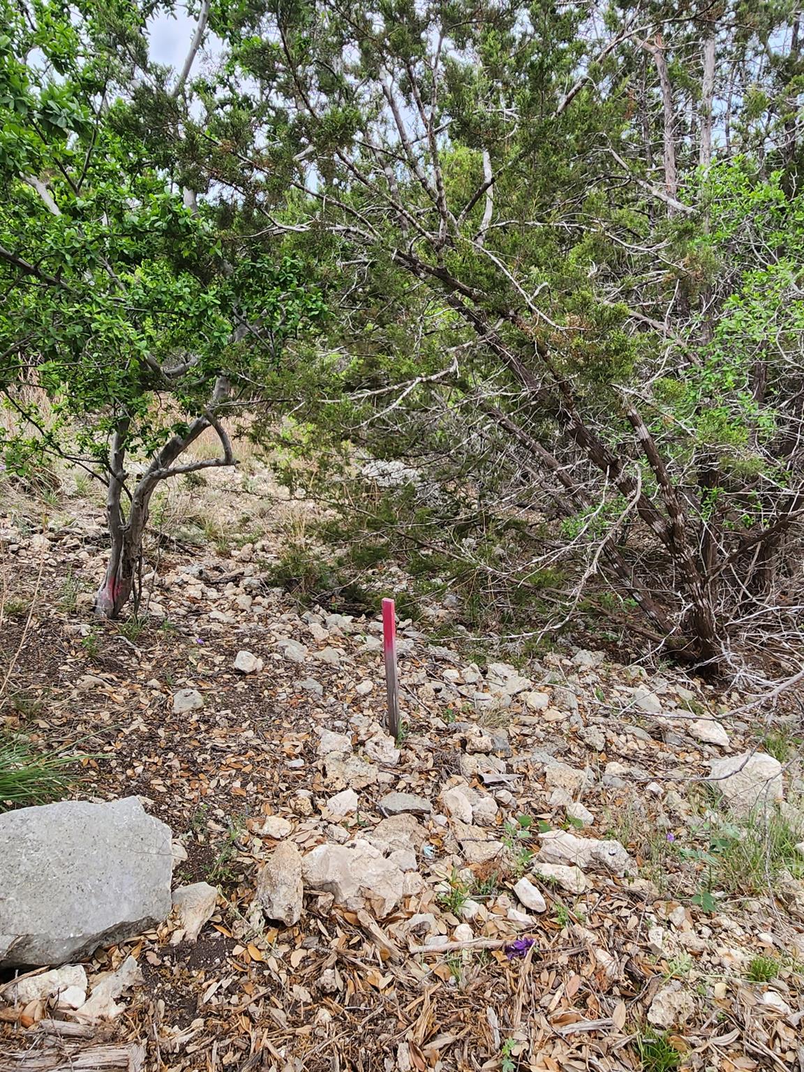 1279 Kings Cove Dr Property Photo 9