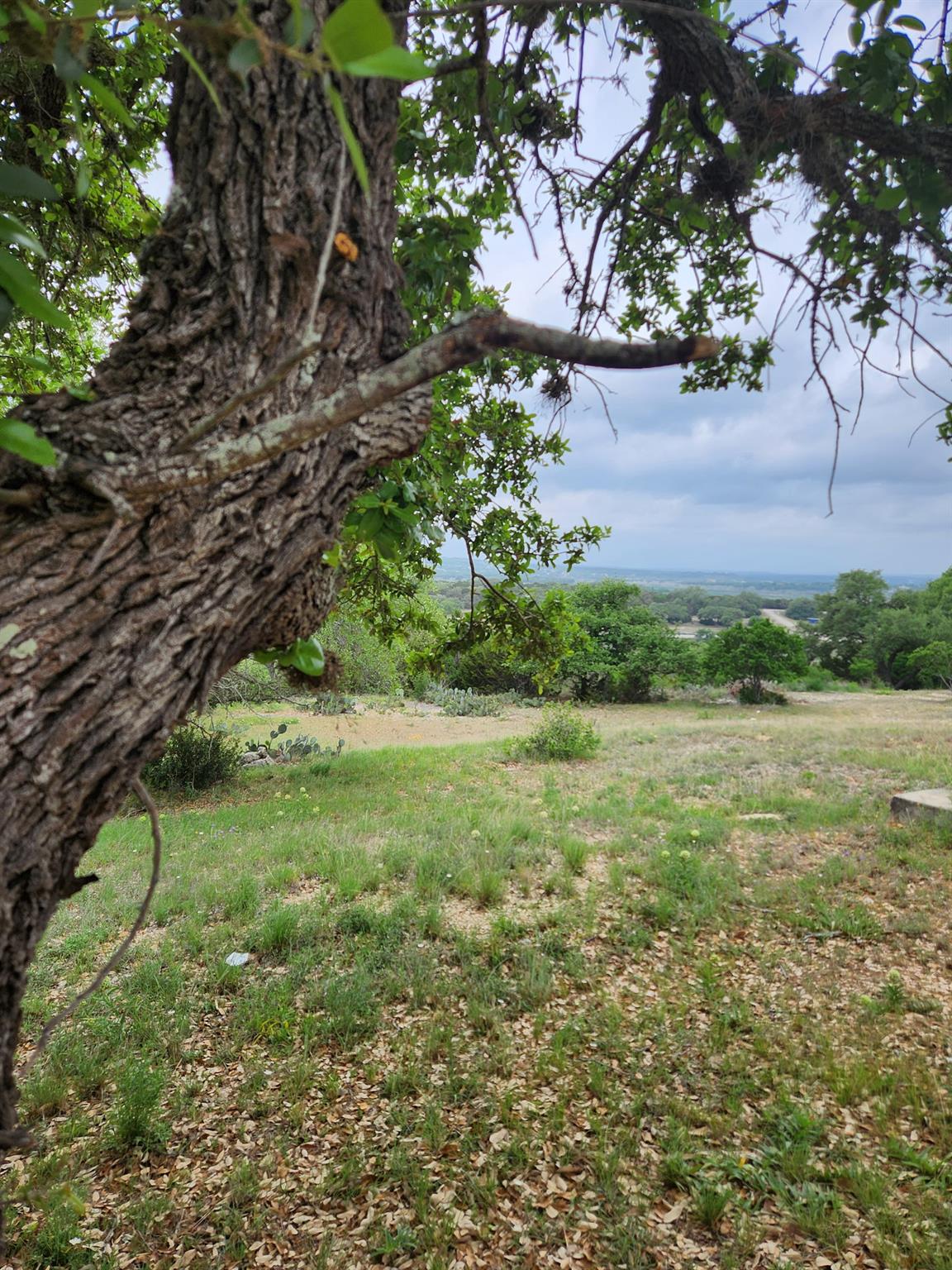 1279 Kings Cove Dr Property Photo 10