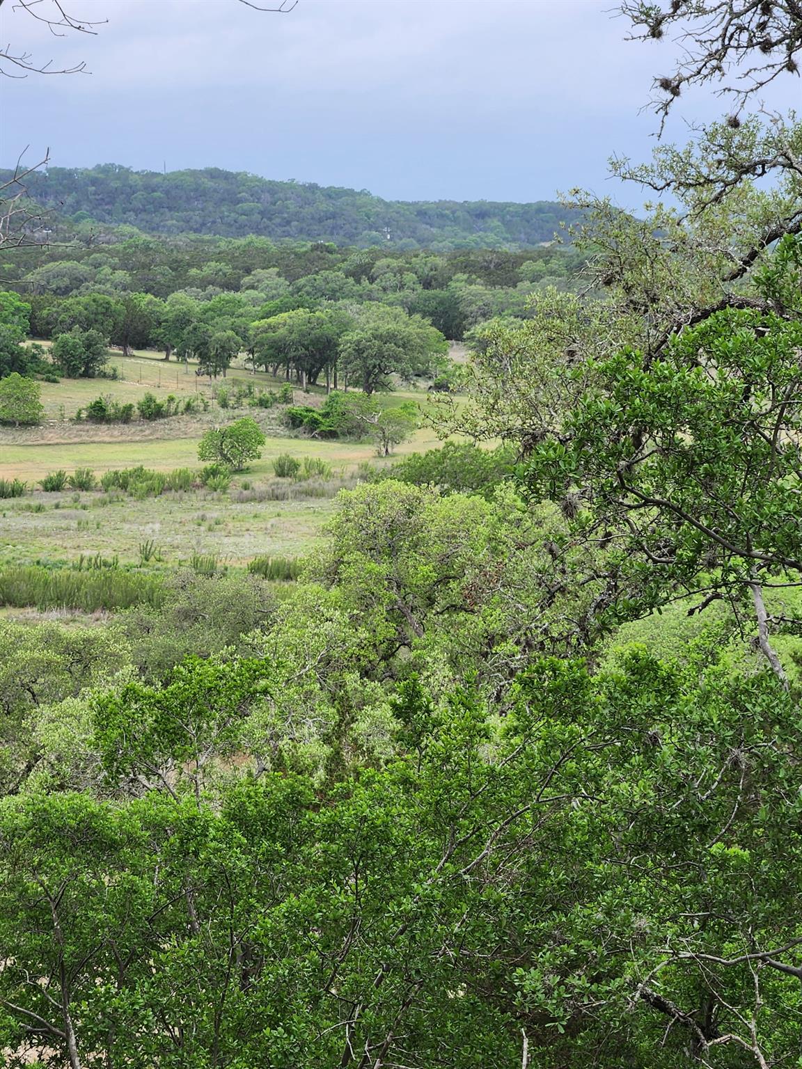 1279 Kings Cove Dr Property Photo 11