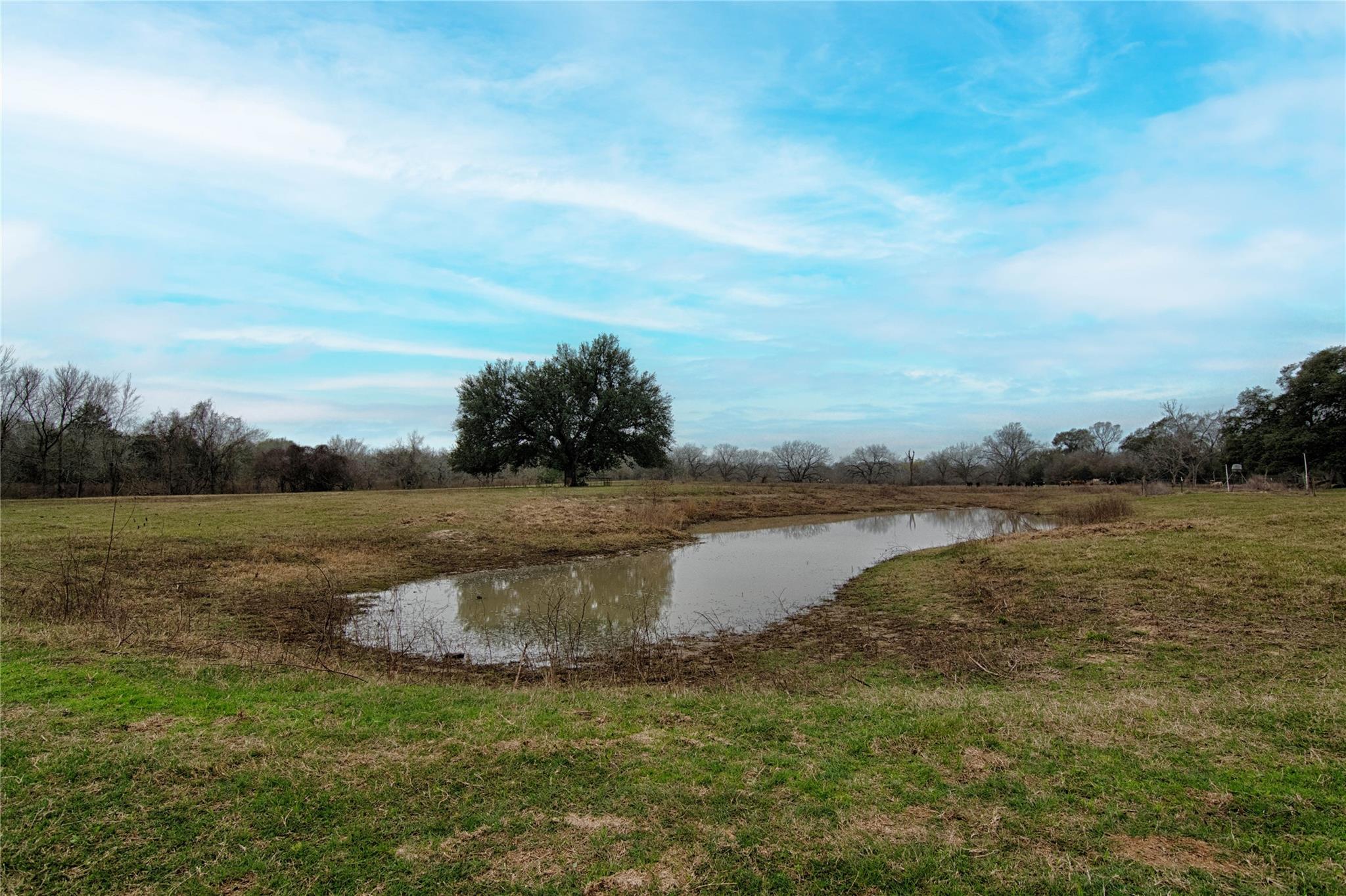 1820 S Old Smithville Rd Property Photo 4