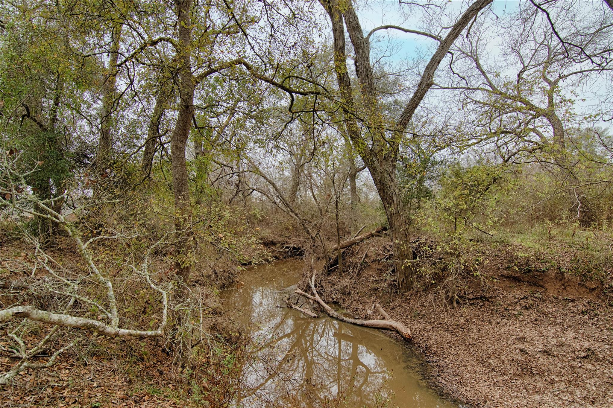 1820 S Old Smithville Rd Property Photo 26