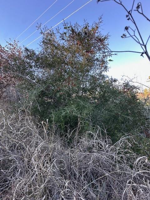 0 Tbd Kula Ct Property Photo 2