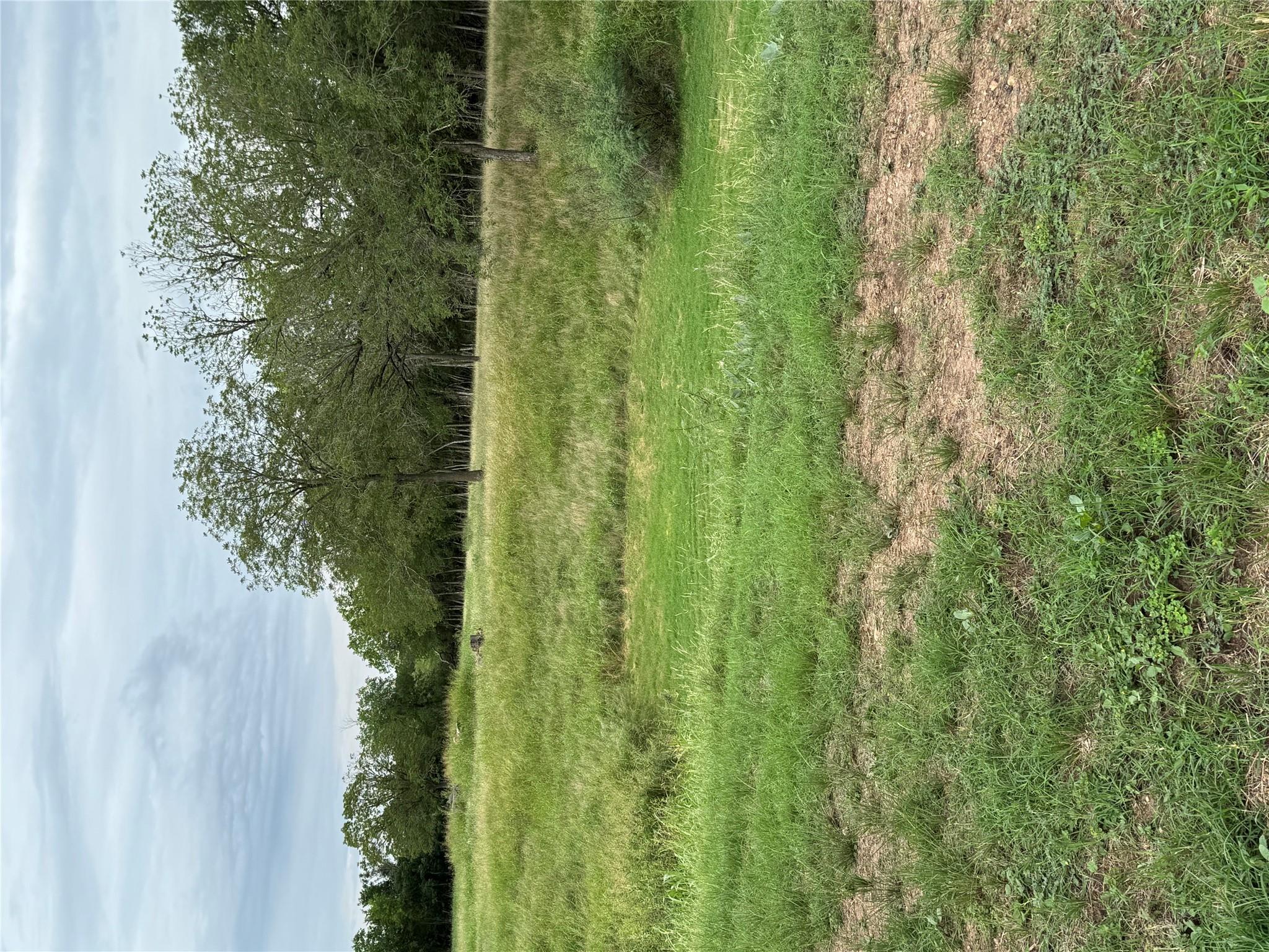 291 Reid's Bnd Property Photo 32