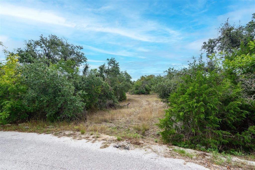 9614 Bronzewood Dr Property Photo 16