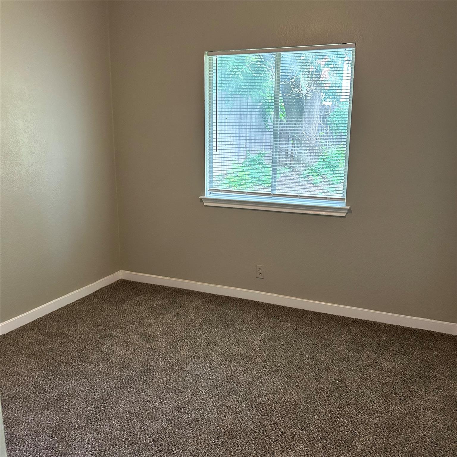 1235 Armadillo Rd #b Property Photo 15