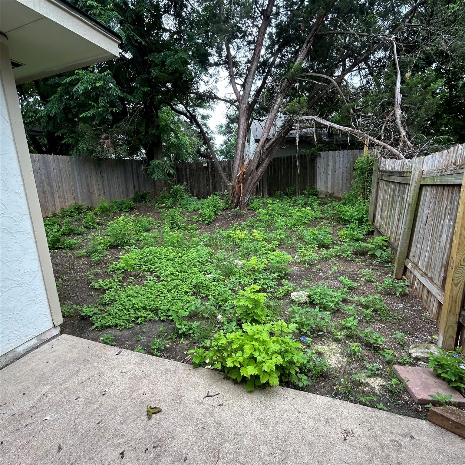 1235 Armadillo Rd #b Property Photo 18