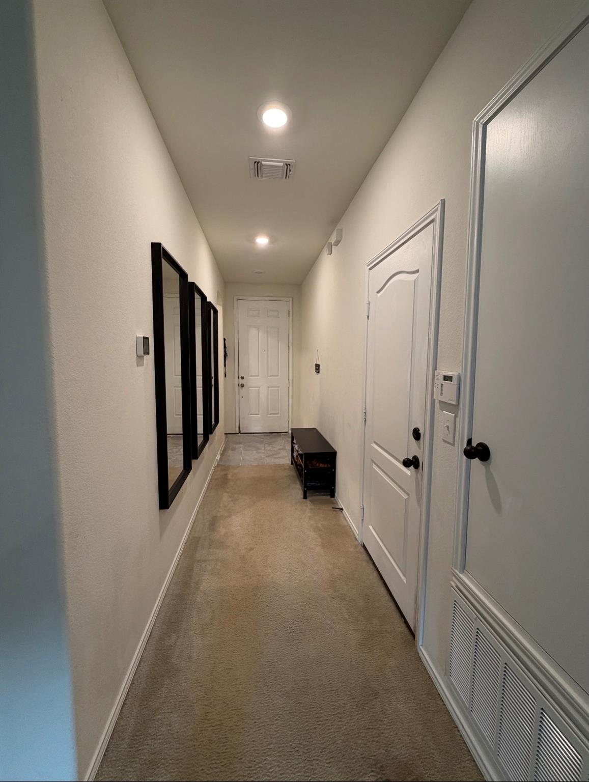 1711 Dragonfly Loop Property Photo 2