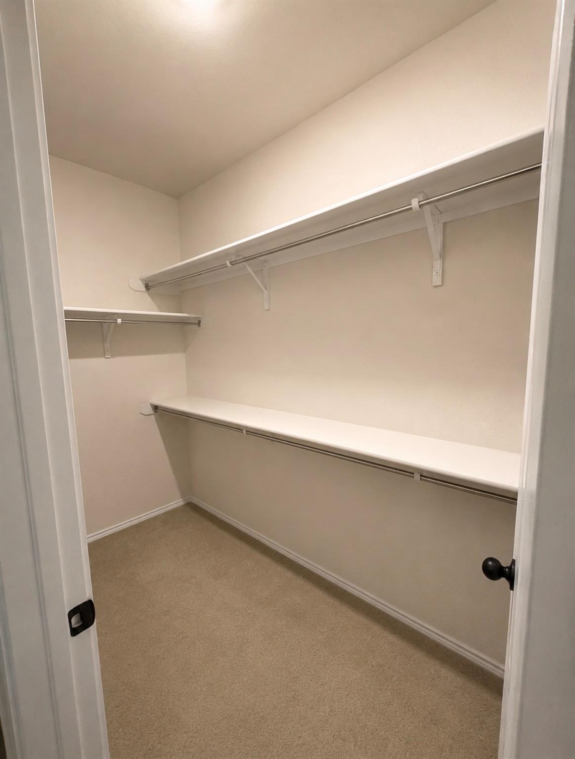 1711 Dragonfly Loop Property Photo 7
