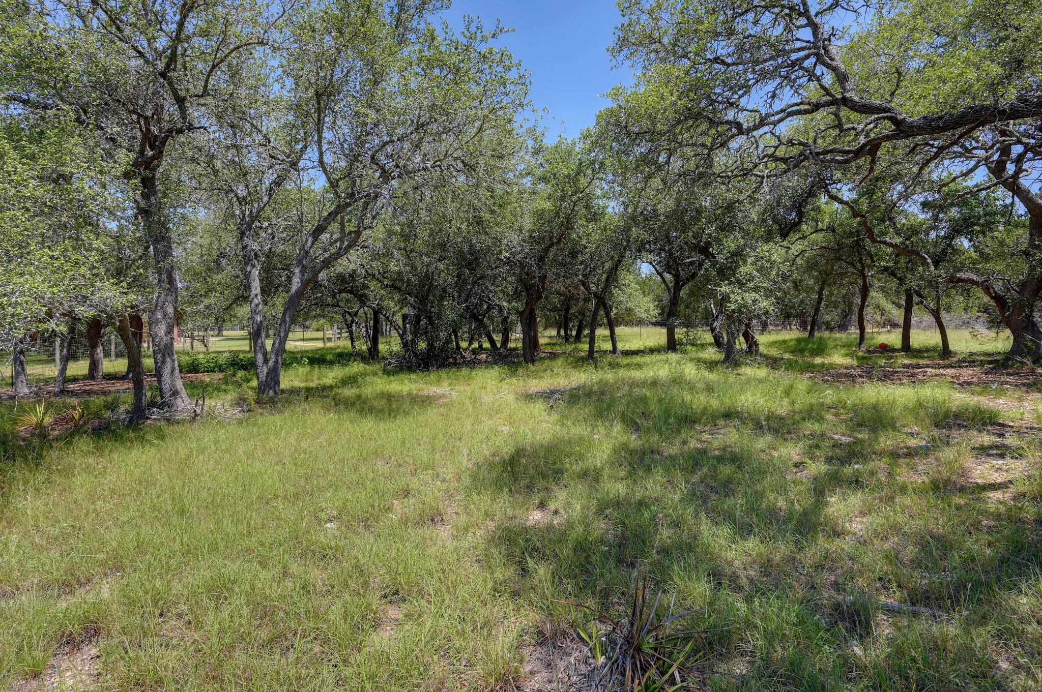 15425 Fitzhugh Rd Property Photo 19