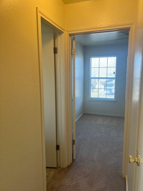 1105 Christopher Dr #b Property Photo 23