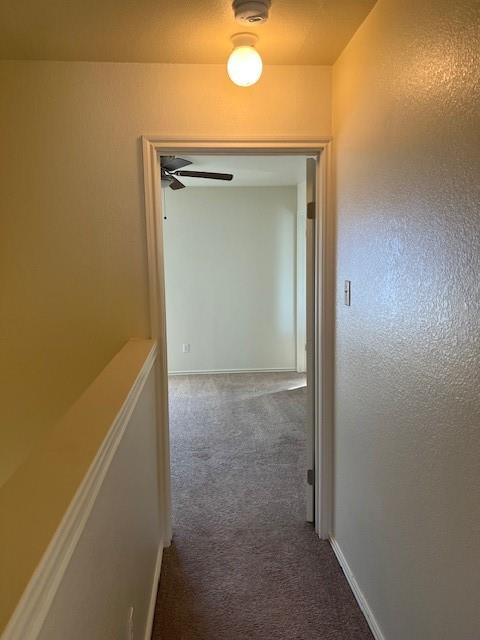 1105 Christopher Dr #b Property Photo 24