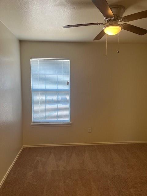 1105 Christopher Dr #b Property Photo 25