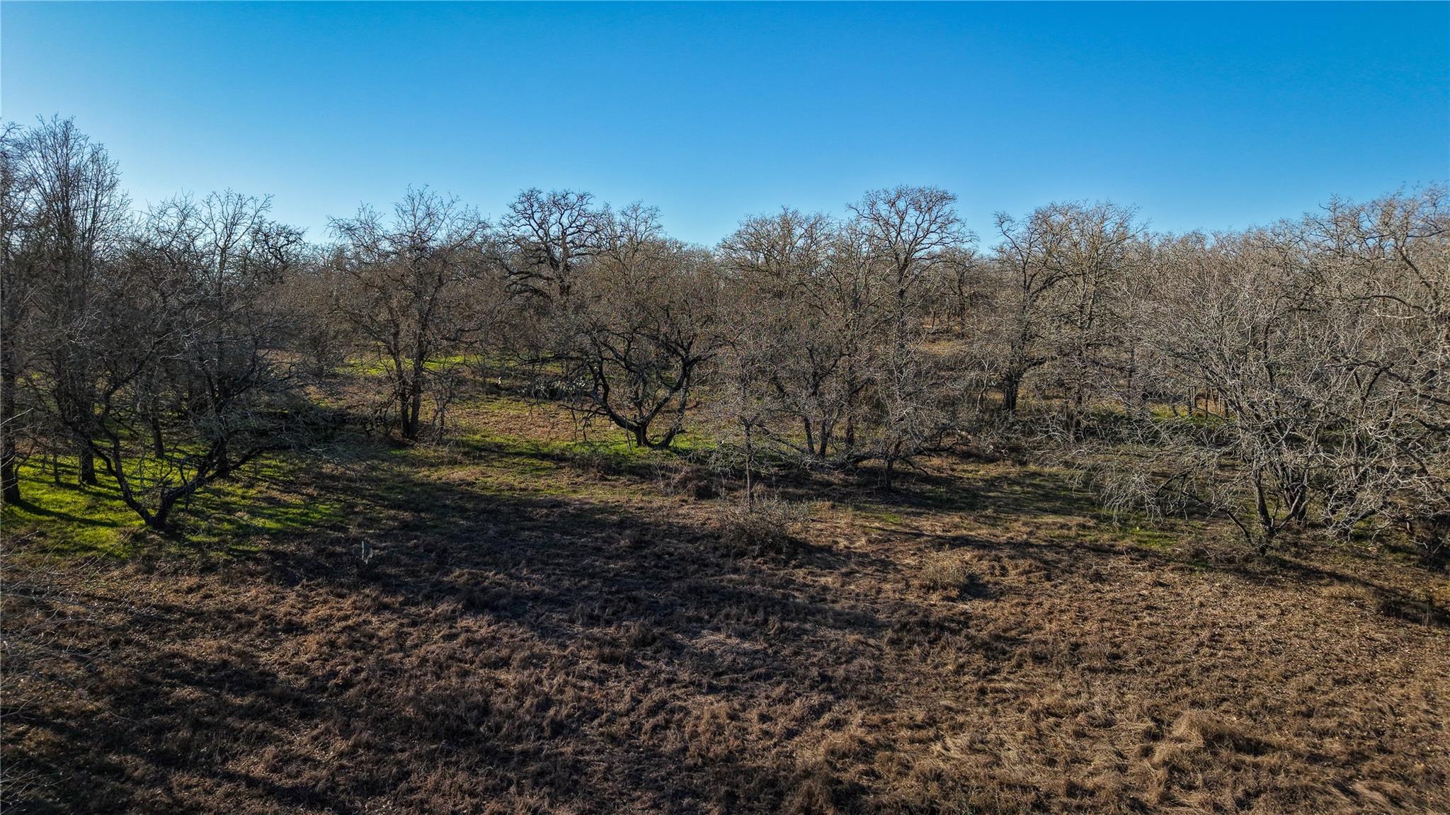 0 Tract 6 Cross Rd Property Photo 10