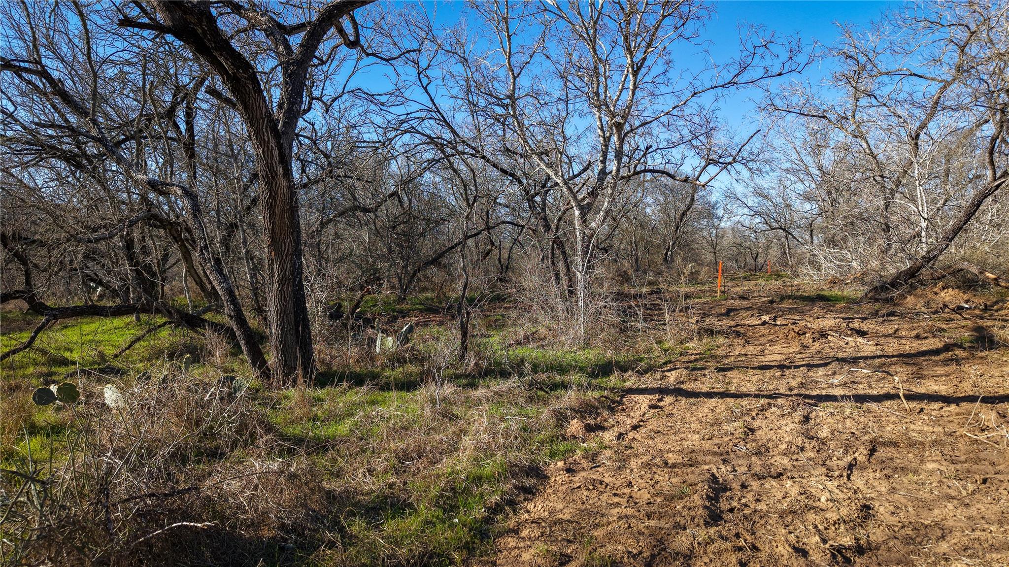 0 Tract 6 Cross Rd Property Photo 11