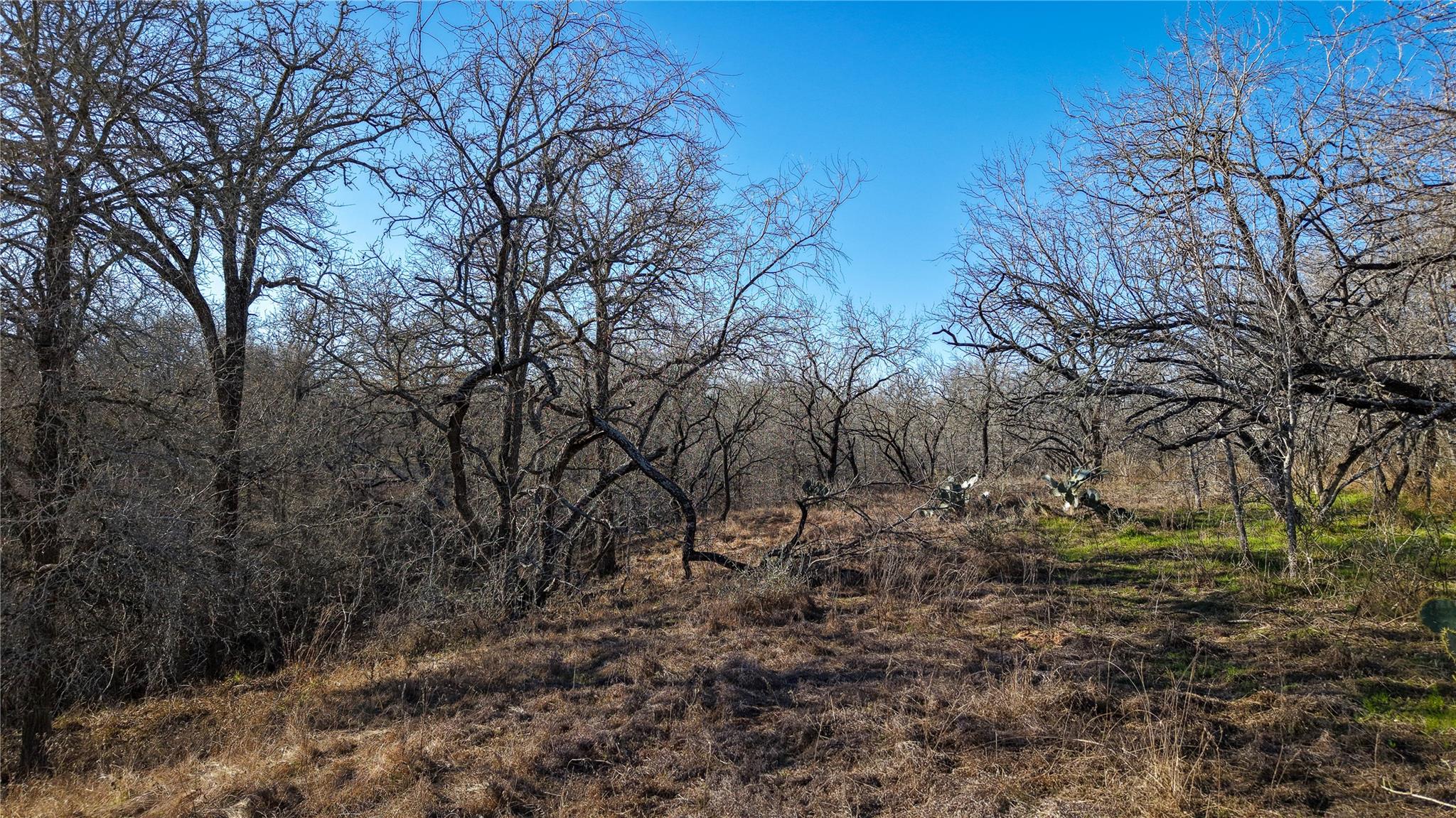 0 Tract 6 Cross Rd Property Photo 12