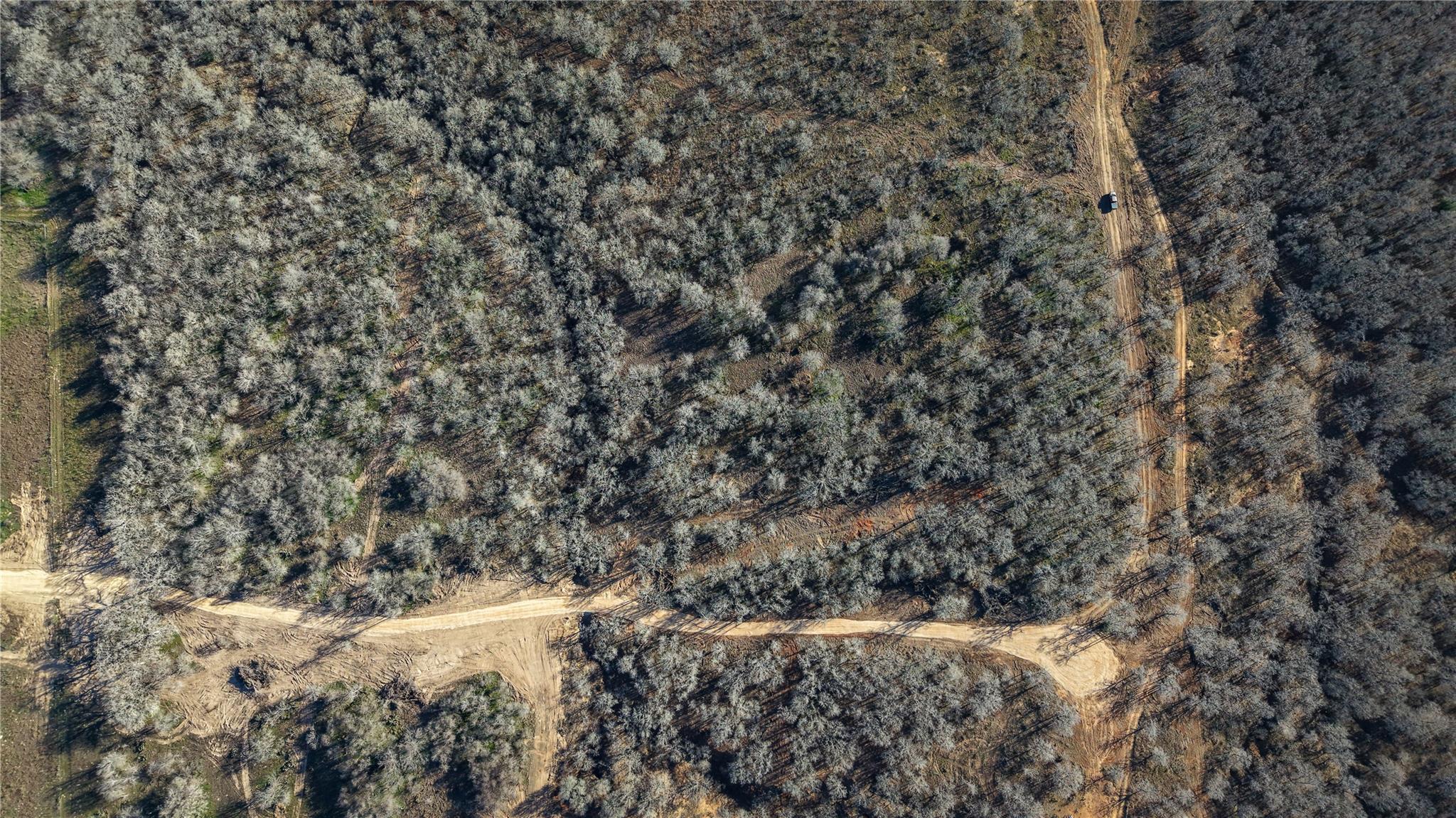 0 Tract 6 Cross Rd Property Photo 17