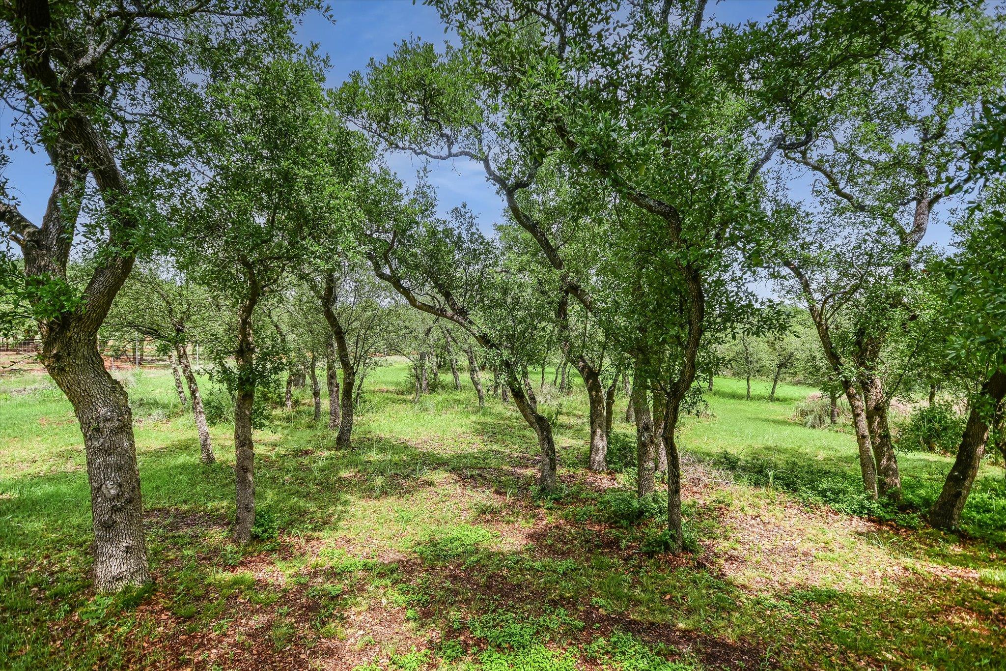 10809 Albero Cv Property Photo 30