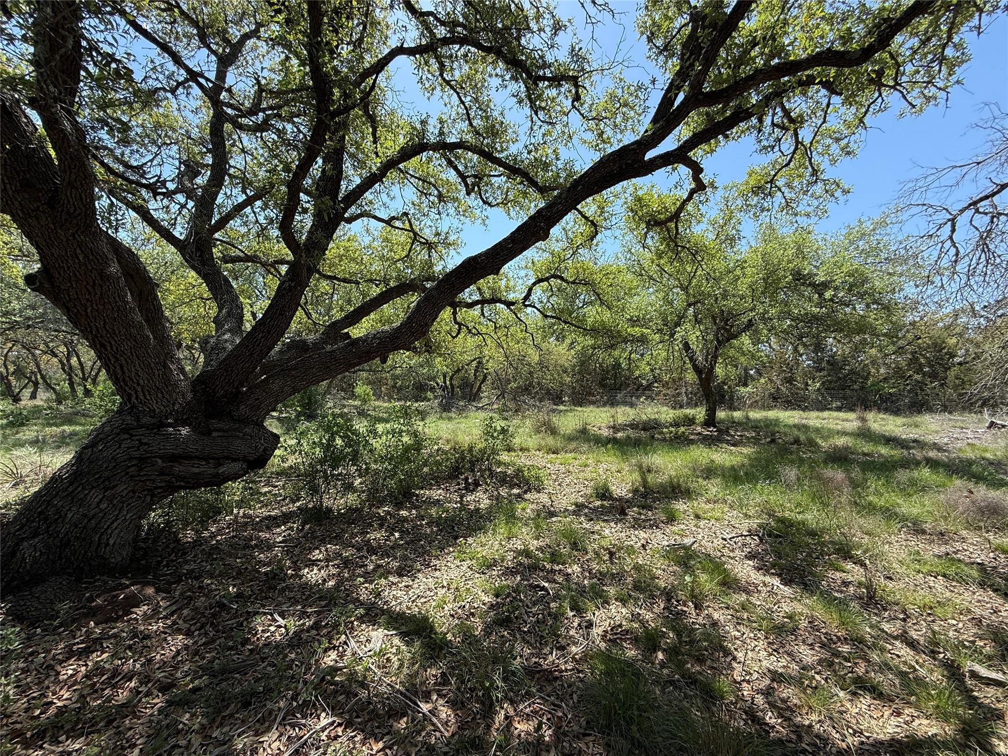Lot 106 E Flying Owl Dr Property Photo 1