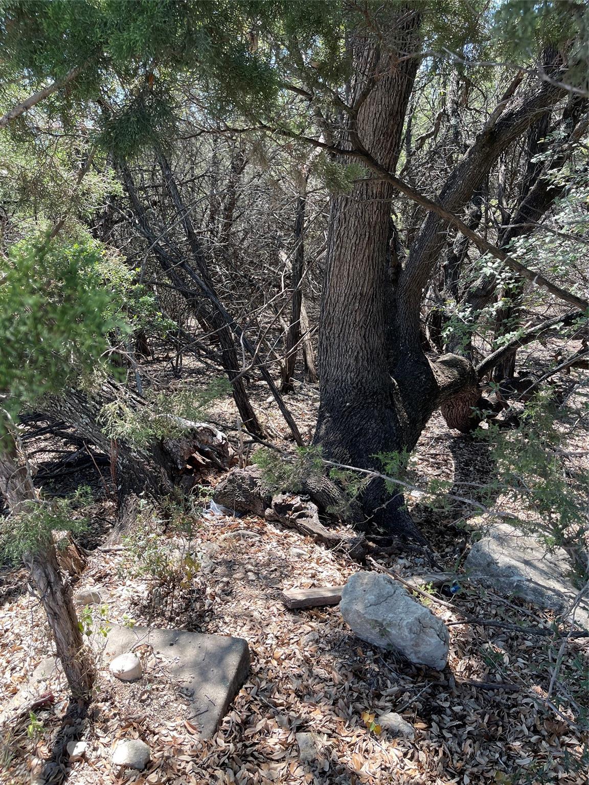 21101 Santa Paula Ave Property Photo 2