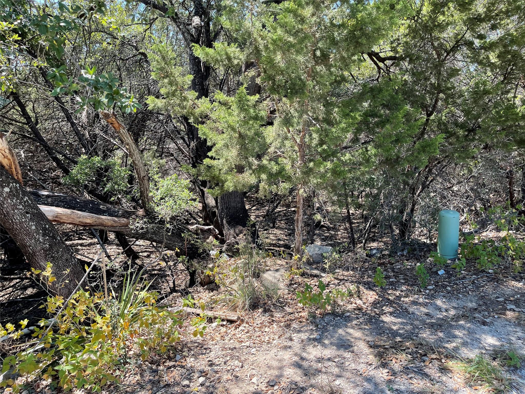 21101 Santa Paula Ave Property Photo 7