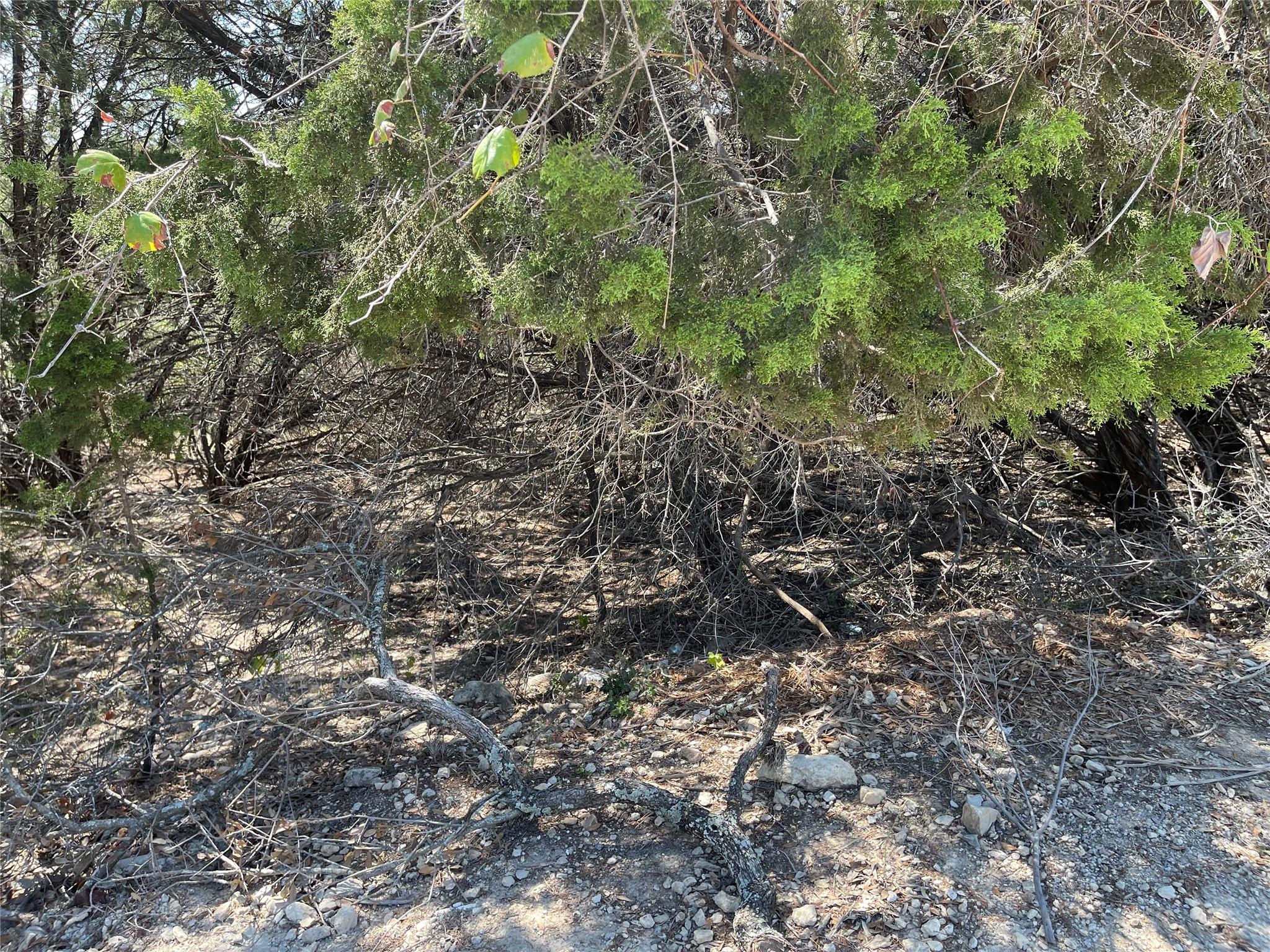 21101 Santa Paula Ave Property Photo 8