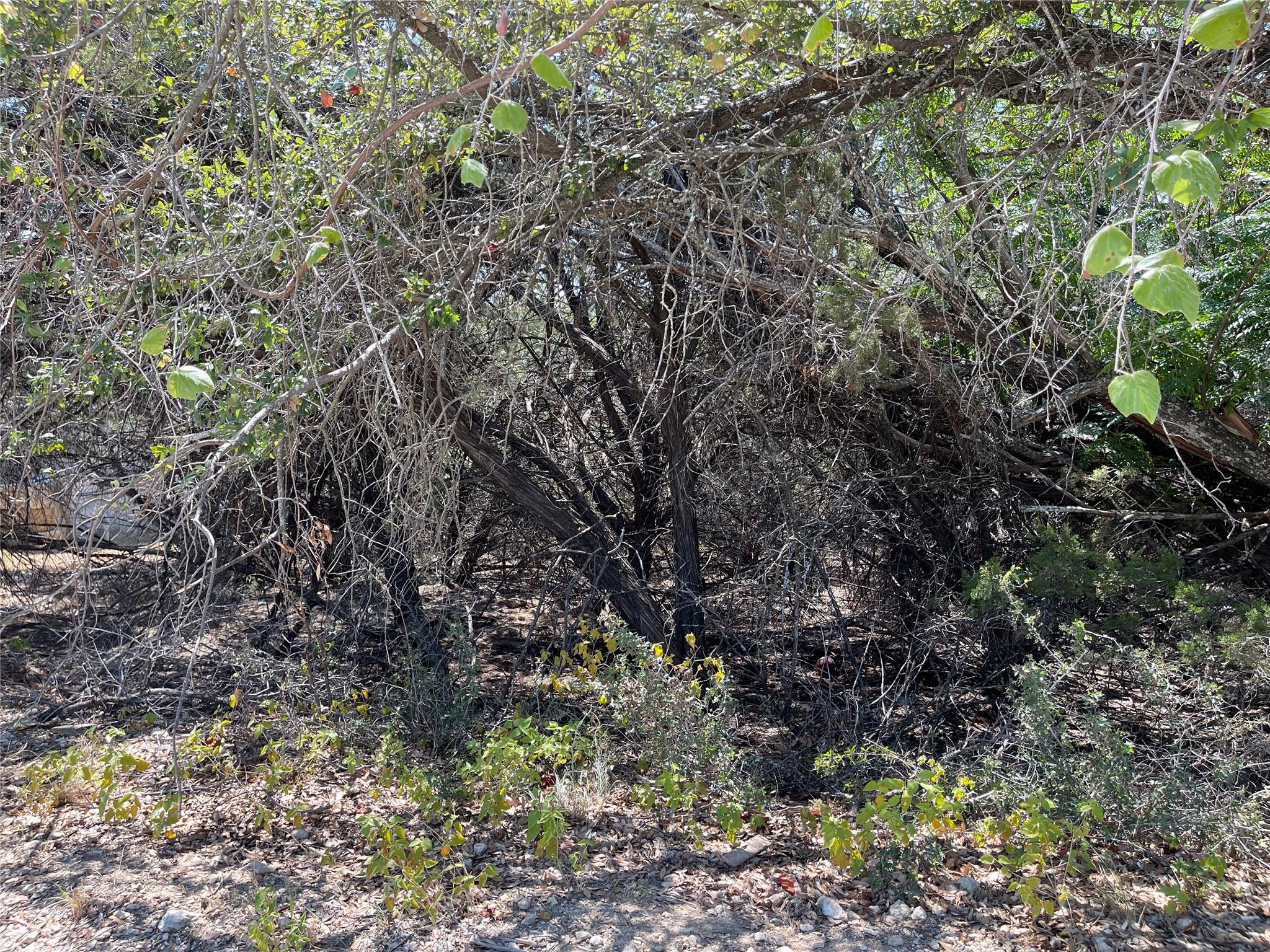 21101 Santa Paula Ave Property Photo 15
