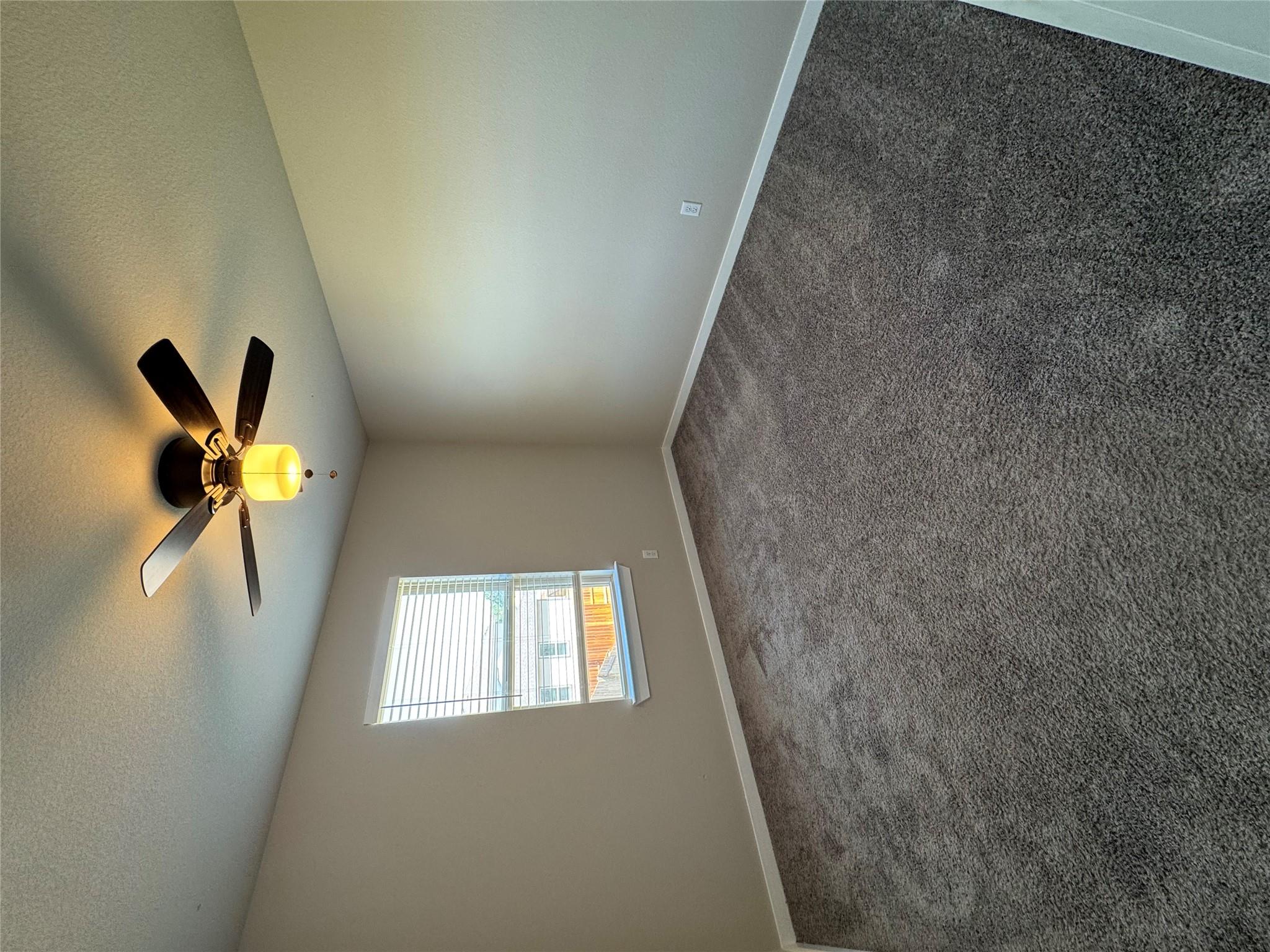 249 Trellis Blvd Property Photo 9