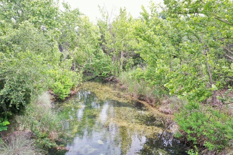 Tbd Sycamore Valley Rd Property Photo 16