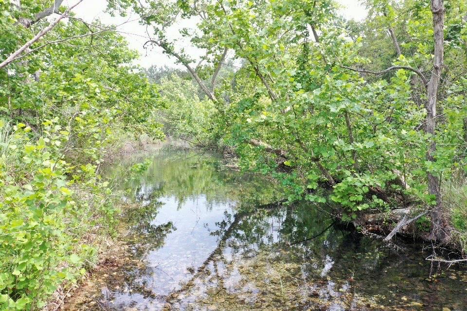 Tbd Sycamore Valley Rd Property Photo 19
