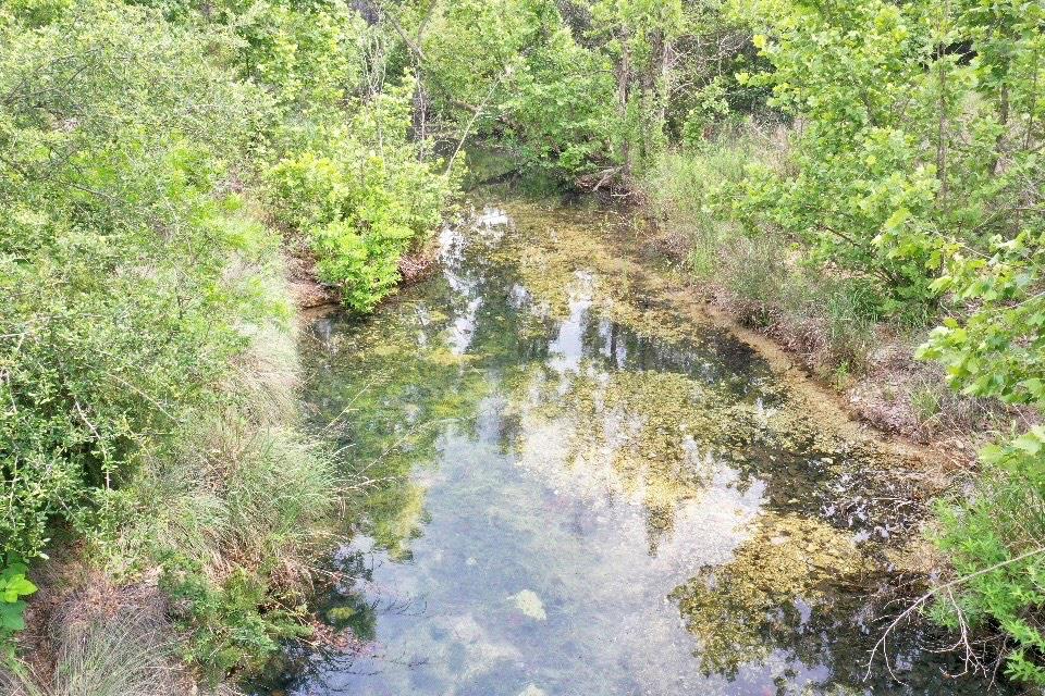 Tbd Sycamore Valley Rd Property Photo 21