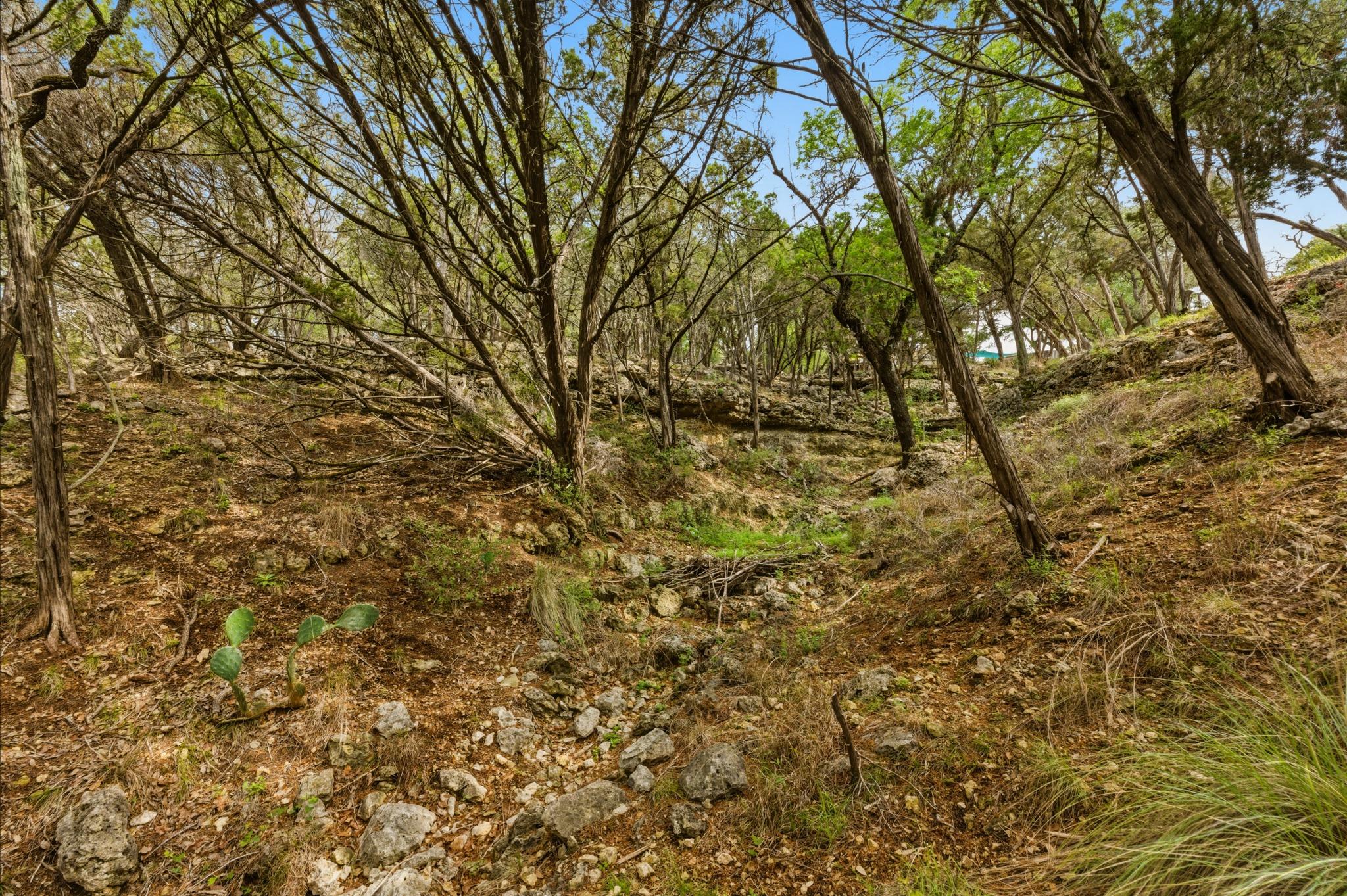 410 Cedar Bend Rd Property Photo 26