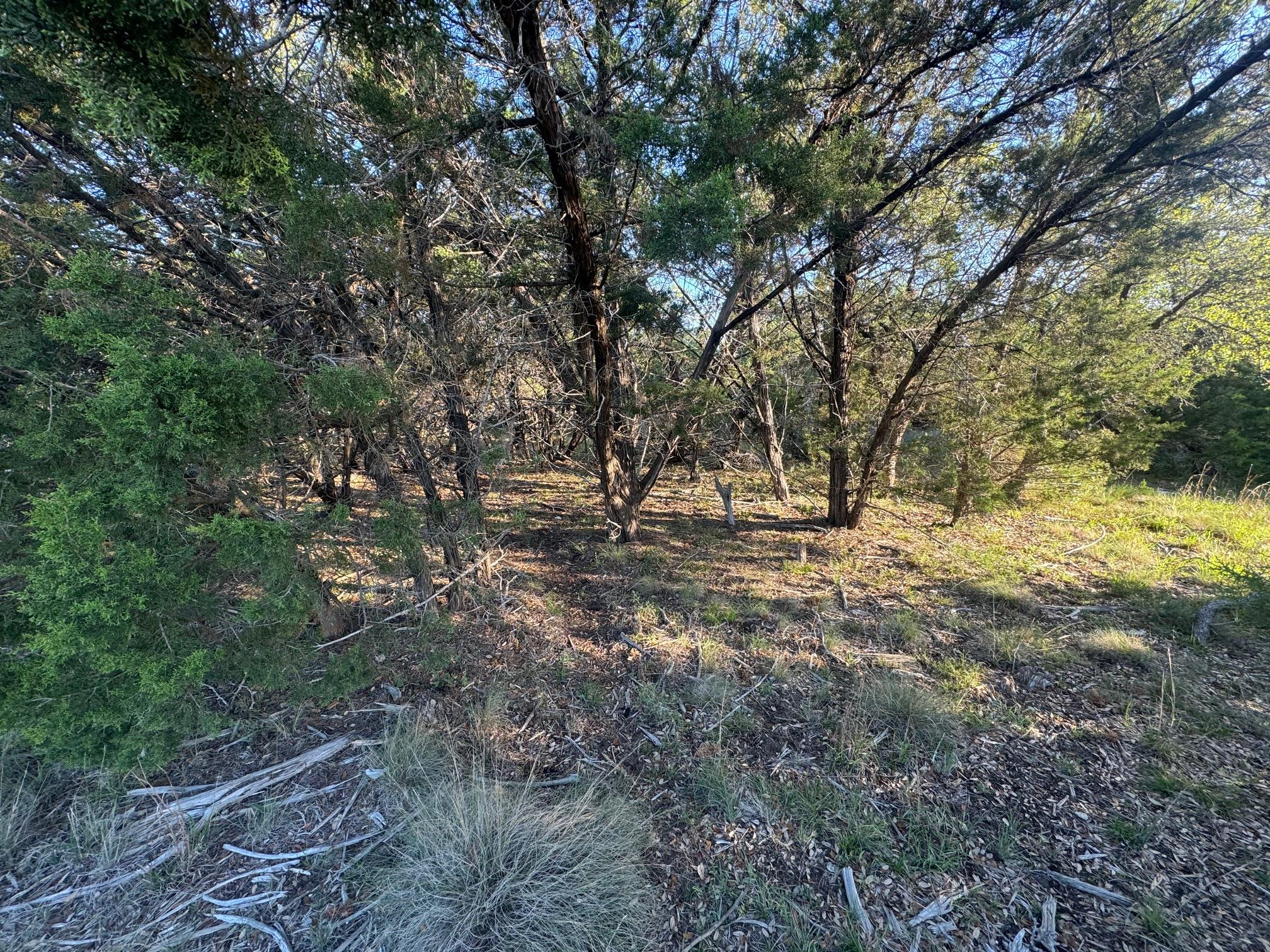 608 Marly Way #5 Property Photo 16