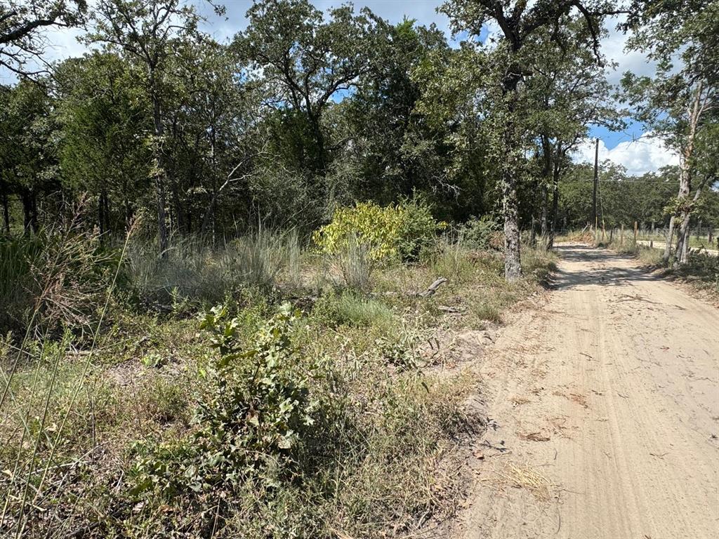 [lot 2] 000 Jordan Ln Property Photo 4