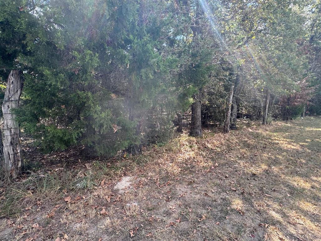 [lot 2] 000 Jordan Ln Property Photo 6
