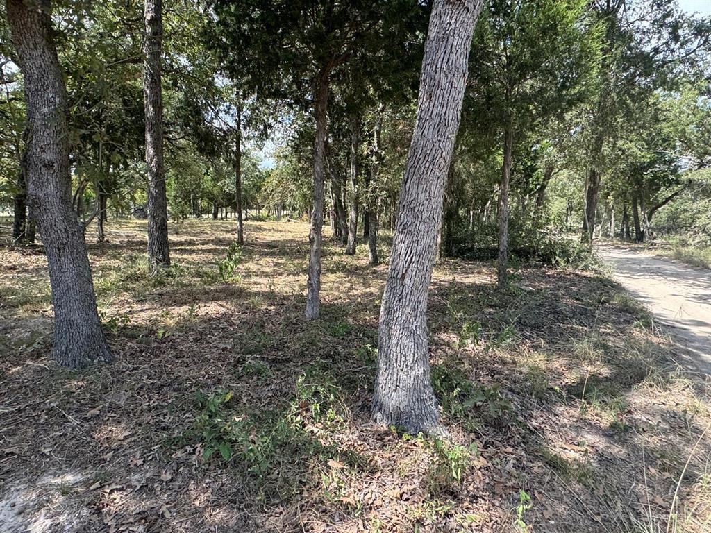 [lot 2] 000 Jordan Ln Property Photo 9