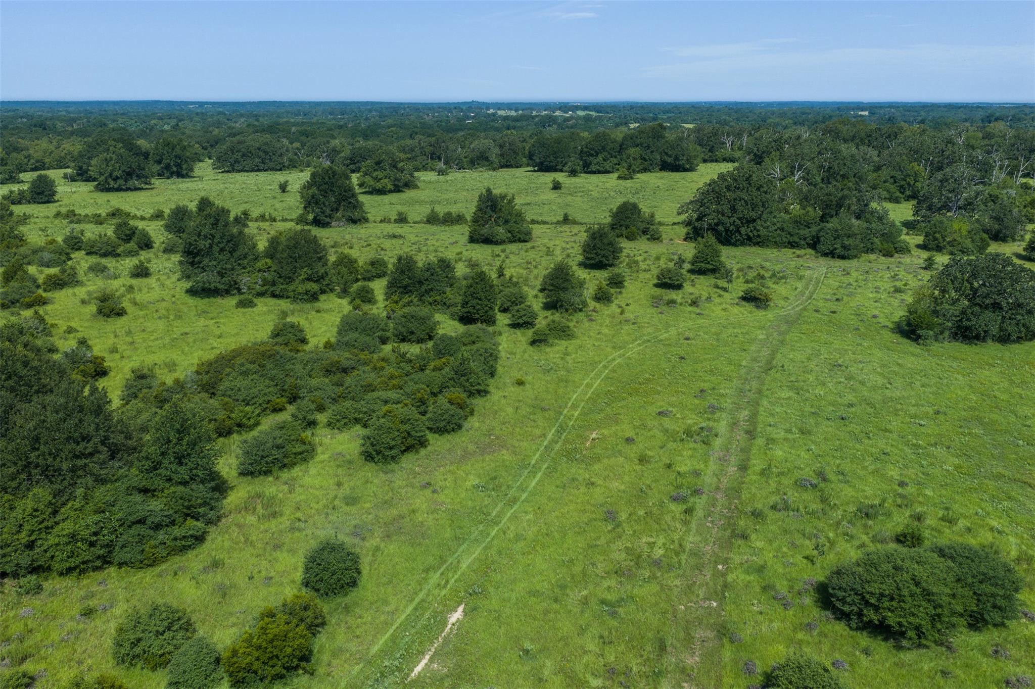 Tbd Fm 39 None Property Photo 1