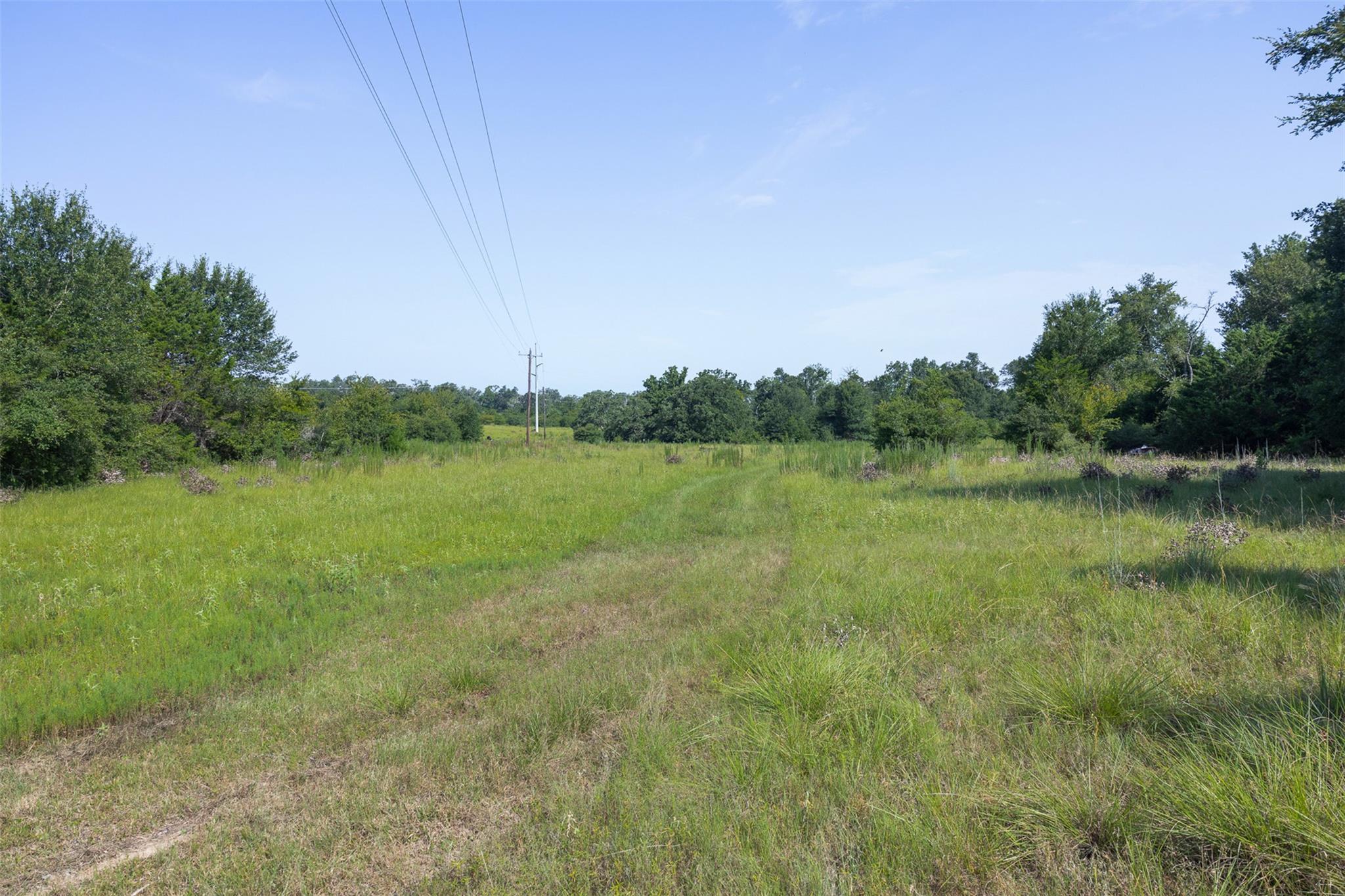 Tbd Fm 39 None Property Photo 13